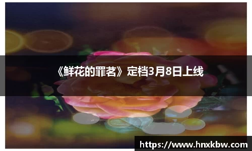 星亿娱乐